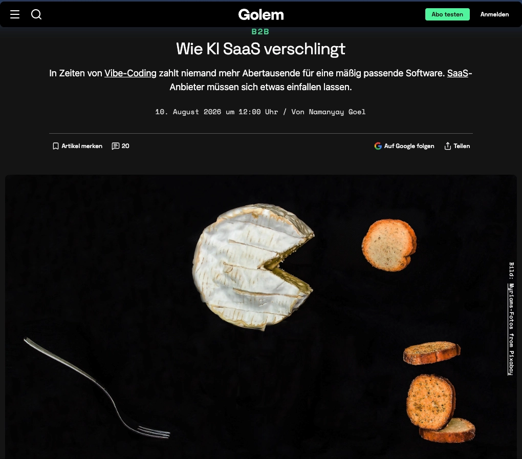 Screenshot Artikel aus golem.de