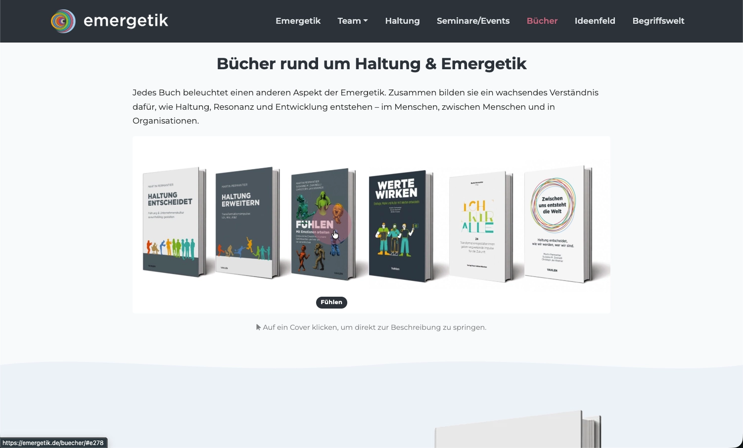 Emergetik_3.webp